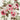 Cream floral A-line dress featuring a knee-length cut and short sleeves, showcasing a design with pink flower and petal patterns.