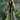 A woman wearing a green oversized hooded cardigan made from chunky knit material. She has sunglasses resting on her head and the cardigan features long sleeves and a comfortable fit, ideal for layering in cooler weather.