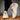 Men's beige suede slip-on loafers displayed on a clean background, featuring a lightweight and stylish design ideal for casual wear. The shoes are in size 47, showcasing their sleek and comfortable appearance suitable for outdoor activities.