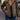 Olive green women's corduroy bomber jacket showcasing a casual chic fall style, featuring a collar, long sleeves, and a waist-length design.