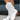 Stylish white women's perforated western ankle cowboy boots worn on a person's foot, showcasing the intricate perforated design and stylish appearance. The boots are paired with a fashionable outfit, emphasizing their versatility and trendy appeal.