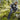 People wearing water-resistant tactical cargo pants in a natural landscape setting, surrounded by trees and grass, with a focus on durability and quick-dry features.