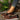 Women's brown wedge loafers styled as casual sneakers, featuring a sleek design with a comfortable wedge sole.