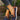 Women's brown wedge loafers worn by a person in denim jeans, standing on grass with a backdrop of greenery.