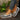 Women's brown wedge loafers styled as casual sneakers on grass, with a person wearing a grey blazer and dress.