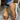 Avencea Women's Shoes with Leopard Print