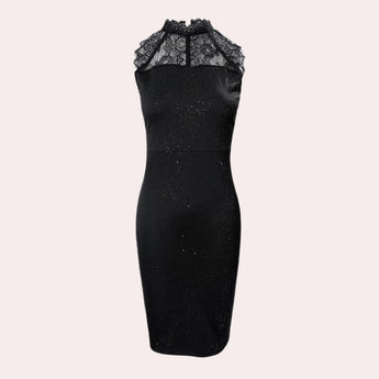 Black lace glitter evening gown featuring a sleeveless high-neck design, fitting in sheath style to accentuate the waist and legs.