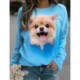 Blue Pomeranian sweatshirt featuring a realistic print of a Pomeranian dog, designed for pet lovers. The sweatshirt is in a vibrant azure color and is available in size 5XL, showcasing detailed textile work that highlights the breed's distinctive fluffy appearance.