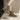 Leopard print lace-up women's combat boots with chunky sole, showcasing a bold fashion design.