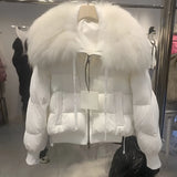 
A luxury black puffer jacket with a fur collar displayed on a mannequin, showcasing designer winter fashion with long sleeves.