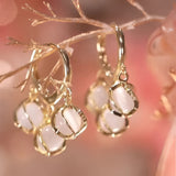 Luxury gold hoop earrings with clear gemstone accents displayed in a vintage box, showcasing intricate detail and elegant craftsmanship.