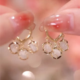 Luxury gold hoop earrings with clear gemstone accents in a vintage box, close-up view showcasing intricate design and natural material.