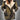 
A green women's insulated winter parka in size 5XL, featuring a faux fur hood and designed to be warm and waterproof. The parka has a structured shoulder, long sleeves, and extends down to cover the waist, resembling an overcoat or trench coat style.