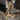 Avencea - Stretchy Cargo Pants