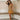 Samba – Ein stylishes Cocktailkleid - FashionWOLF